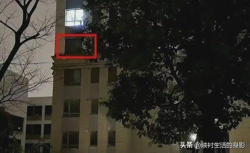 张江街头爆料案件最新,警方全力追查真相 第3张 张江街头爆料案件最新,警方全力追查真相 第3张