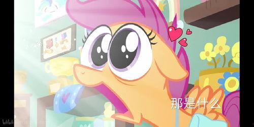 小马爆料四姐道具视频,小马爆料背后的秘密与惊喜  第2张