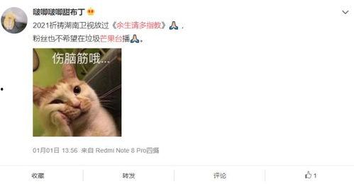 鹅厂最新爆料肖战杨紫,青春校园爱情故事引期待  第1张