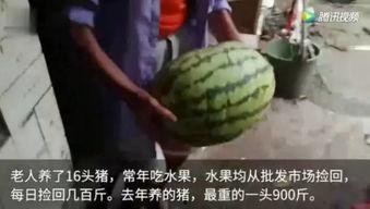 吃瓜视频完整版免费观看,免费畅享热门内容 第1张 吃瓜视频完整版免费观看,免费畅享热门内容 第1张